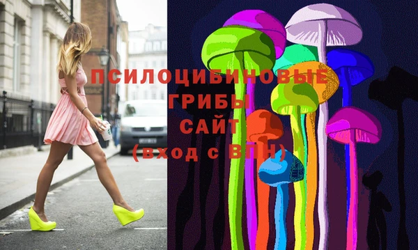 стаф Магадан