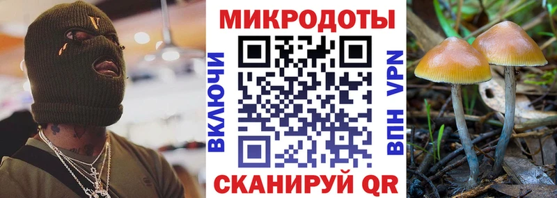 мориарти какой сайт  Гусиноозёрск  Псилоцибиновые грибы мухоморы 